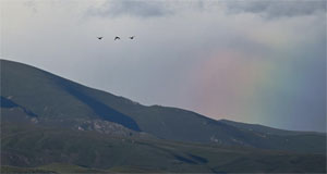 美丽中国丨壮美那拉提