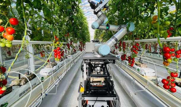 首台全流程智能育种机器人亮相